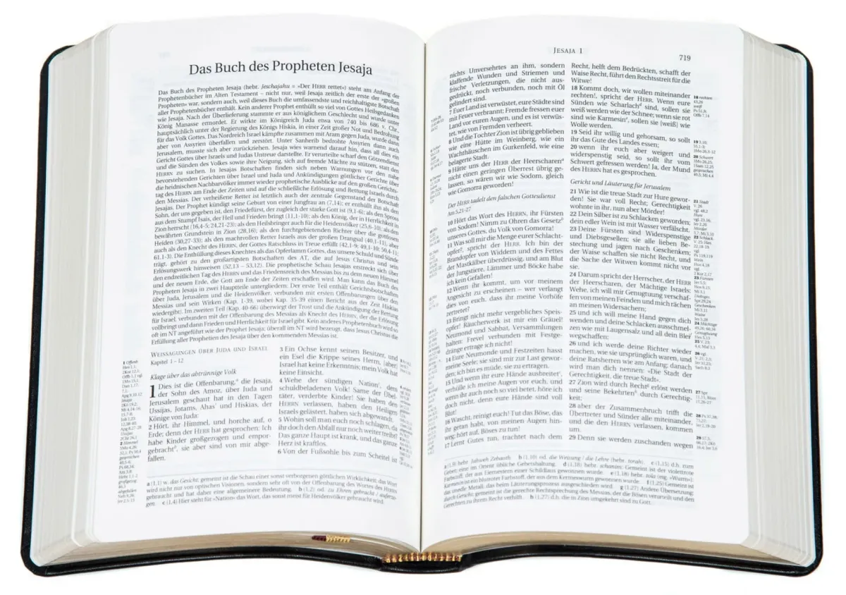Schlachter 2000 Bibel mit Studienführer - Fibroleder, Goldschnitt, schwarz