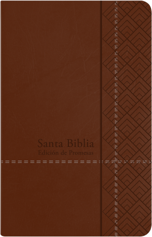 Spanisch, Bibel Reina Valera 1960, Grossdruck, Kunstleder, Kaffee, Goldschnitt - "Biblia de...