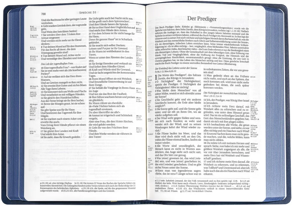 Schlachter 2000, Taschenausgabe mit Parallelstellen, PU-Einband sandfarben, blauer Farbschnitt,...