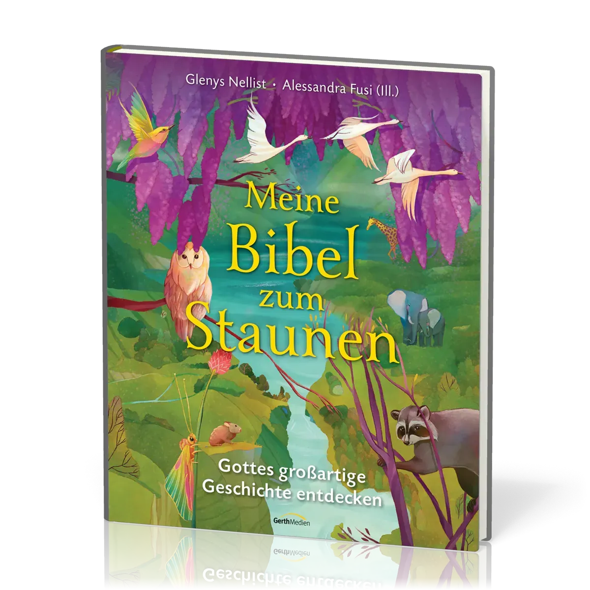 Meine Bibel zum Staunen - Gottes großartige Geschichte entdecken