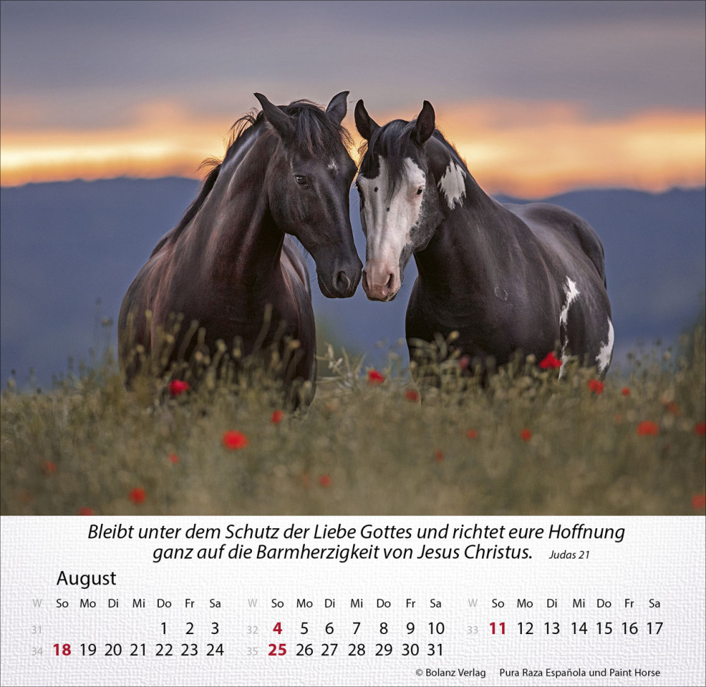 Kalender Pferde Wunderbare Schöpfung - Tischkalender