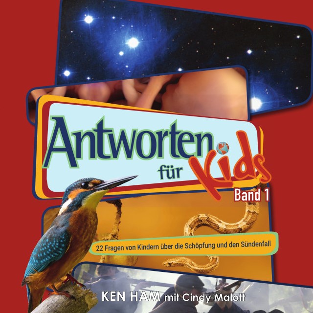 Antworten für Kids”-Box - 8 Hardcover-Bücher