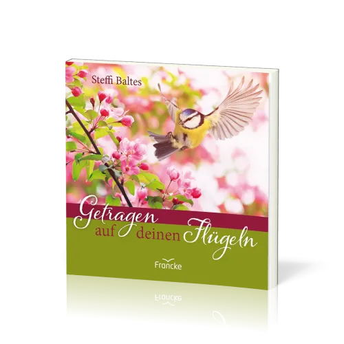 Getragen auf deinen Flügeln - Geschenkheft