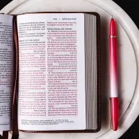 Englisch, Bibel New King James Version, Kompakt, Leder, blau