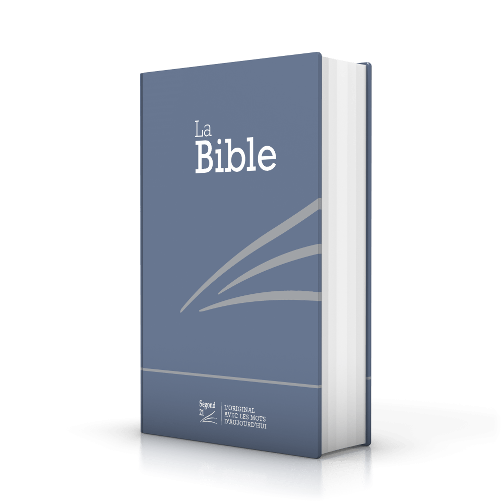 Bible Segond 21 französisch kompakt - Hardcover Skivertex metalblau