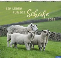 Kalender Ein Leben für die Schafe - Wandkalender Kalender Ein Leben für die Schafe - Wandkalender