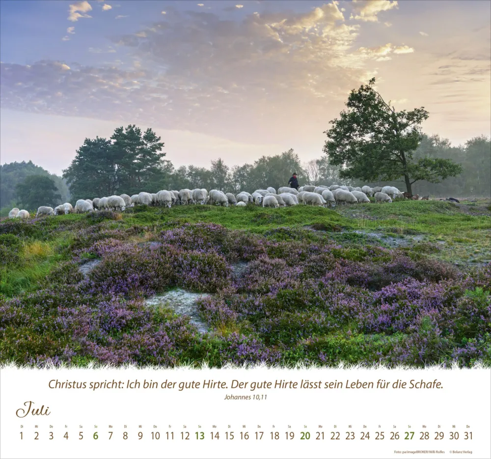 Kalender Ein Leben für die Schafe - Wandkalender Kalender Ein Leben für die Schafe - Wandkalender