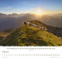 Kalender Ein Leben für die Schafe - Wandkalender Kalender Ein Leben für die Schafe - Wandkalender