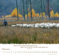 Kalender Ein Leben für die Schafe - Wandkalender