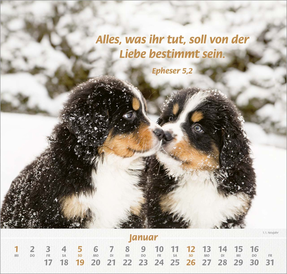 Ich hab dich gern - Wandkalender