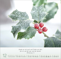 Gesichter der Natur - Wandkalender