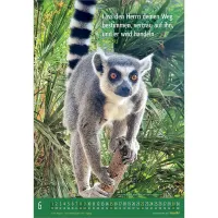 MEINE KLEINE WELT - WANDKALENDER