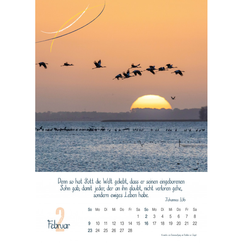 Natur, Wandkalender