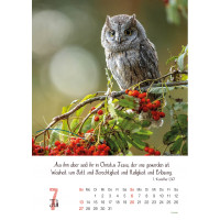 Natur, Wandkalender