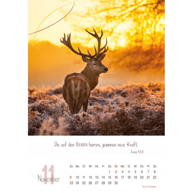 Natur, Wandkalender