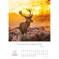 Natur, Wandkalender