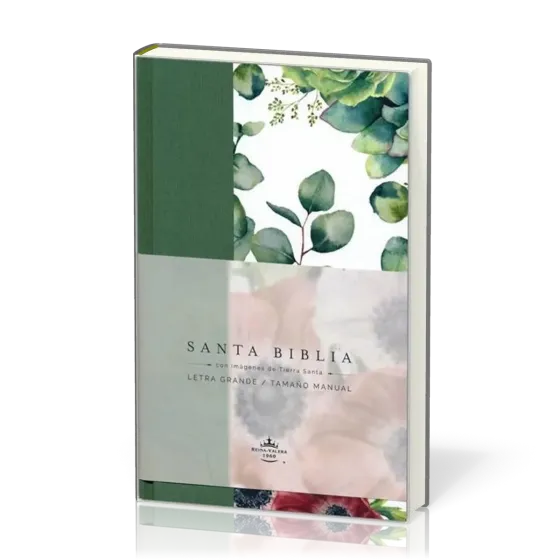 Spanisch, Bibel Reina Valera 1960, Grossdruck - Kartonnierter Stoffeinband grün mit Blumenmuster