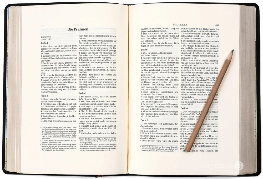 Schlachter 2000 Bibel – Schreibrandausgabe (flexibler Leder-Umschlag, schwarz) -...