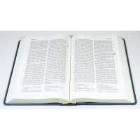 Elberfelder Bibel CSV Hückeswagen Grossausgabe Hausbibel - Hardcover grau-blau, Lesezeichen