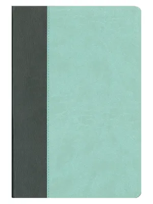 Elberfelder Bibel CSV Hückeswagen Standardausgabe - Kunstleder anthrazint / mint