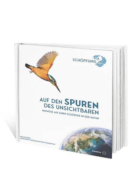 Auf den Spuren des Unsichtbaren - Hinweise auf einen Schöpfer in der Natur