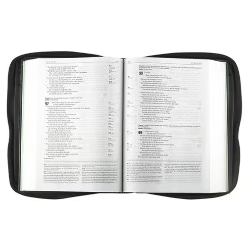 Bibelhülle Ichtus M - schwarz, mit Reissverschluss, Seitentasche und Tragehenkel