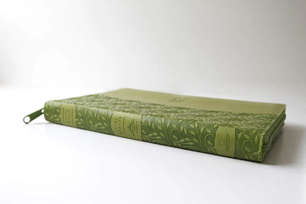 Spanisch, Bibel, Reina Valera 1960, Grossdruck - Kunstleder grün mit eingeprägtem Blattmotif,...