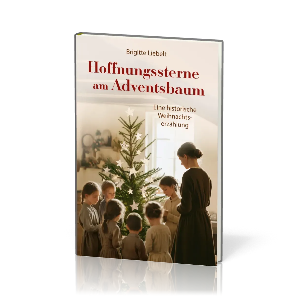 Hoffnungssterne am Adventsbaum - Eine historische Weihnachtserzählung