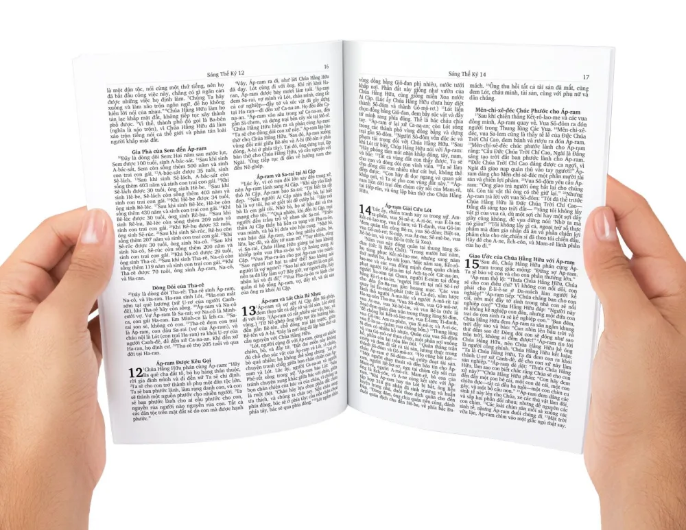 Vietnamesische Bibel komplett mit Altem und Neuem Testament