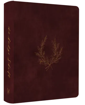 NeÜ bibel.heute Liebezurbibel (Schreibrandbibel WINE) - Flexibler Kunstledereinband - weinrot mit...