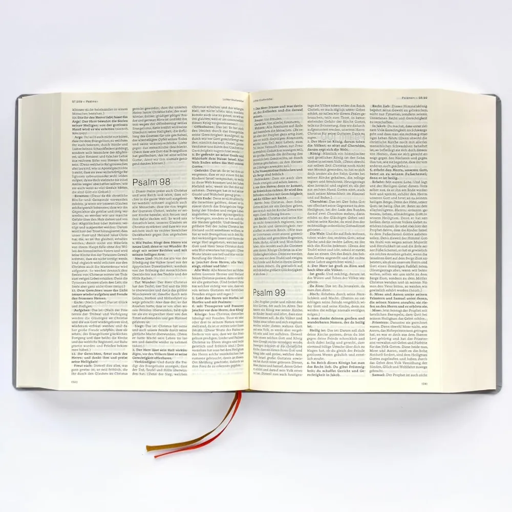 Luther Studienbibel - gebunden, Grossdruckausgabe, grau