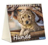Kalender Hunde - Tischkalender