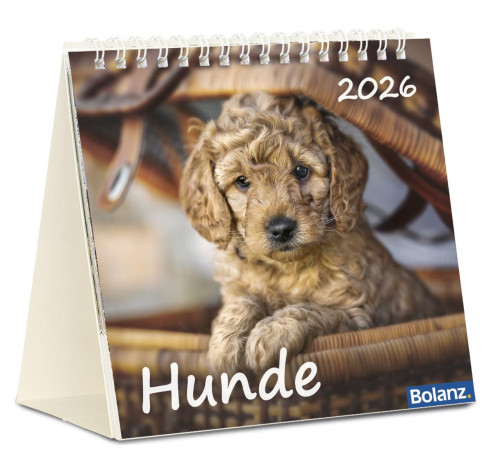 Kalender Hunde - Tischkalender