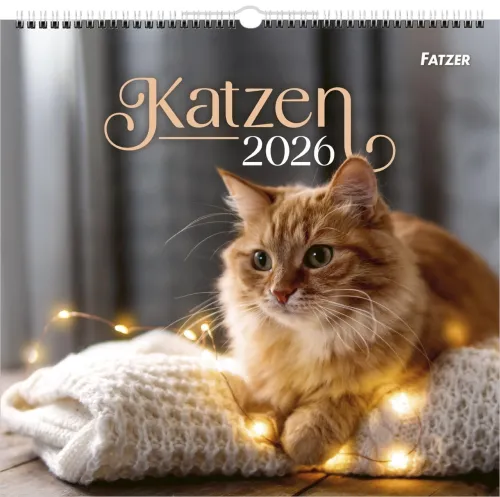 Katzen - Wandkalender