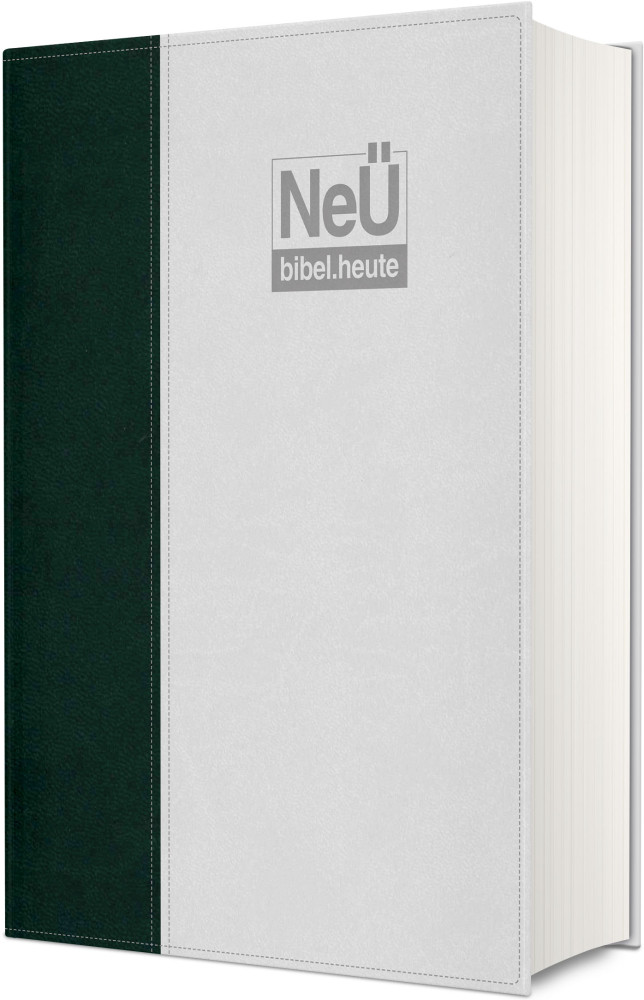 NeÜ bibel. heute Standardausgabe - Zweifarbiges Kunstleder Grün/Grau
