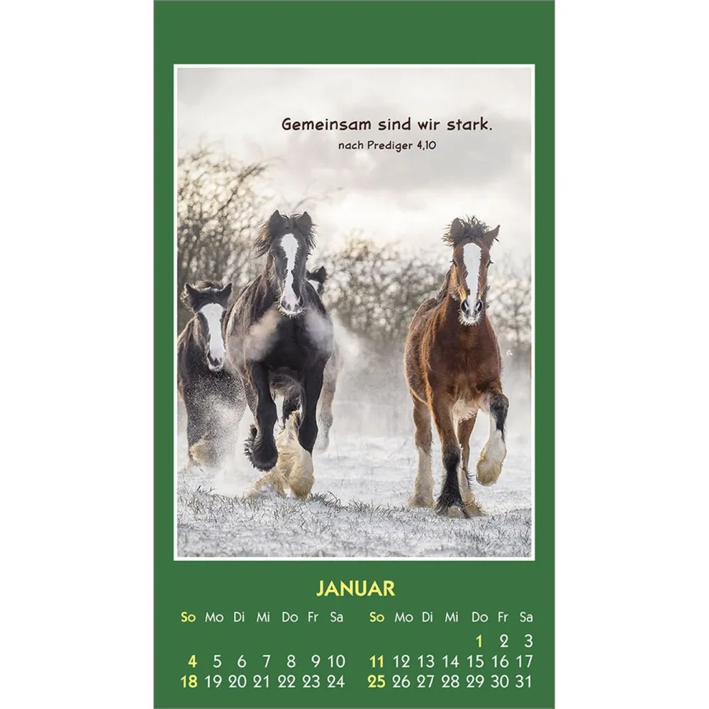 Hallo Du - Tiermotive - Aufkleber-Kalender