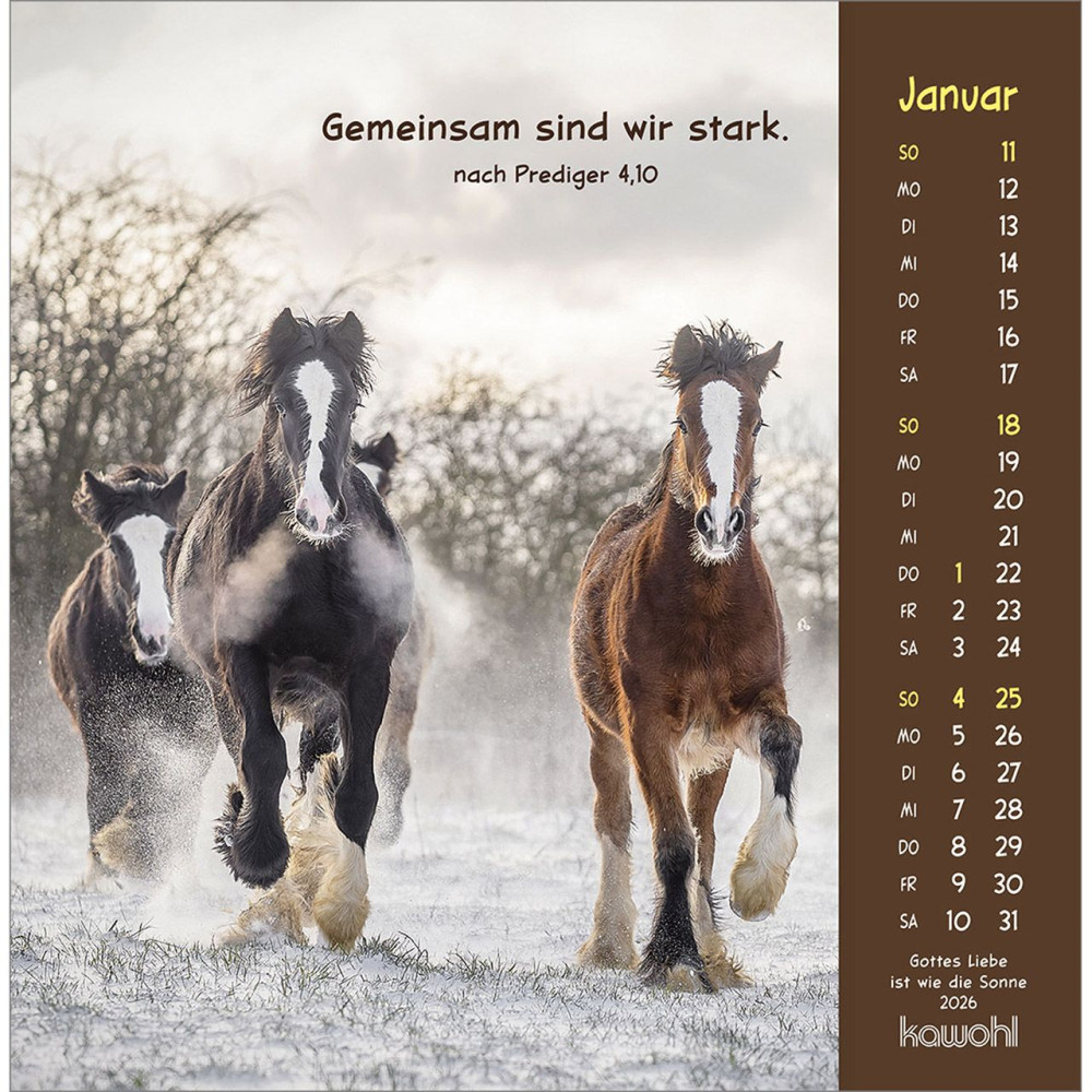 Gottes Liebe ist wie die Sonne - Postkartenkalender