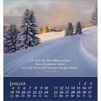 Aus der Stille leben - Tischkalender