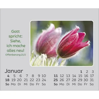 Freude für jeden Tag - mini Aufstellkalender