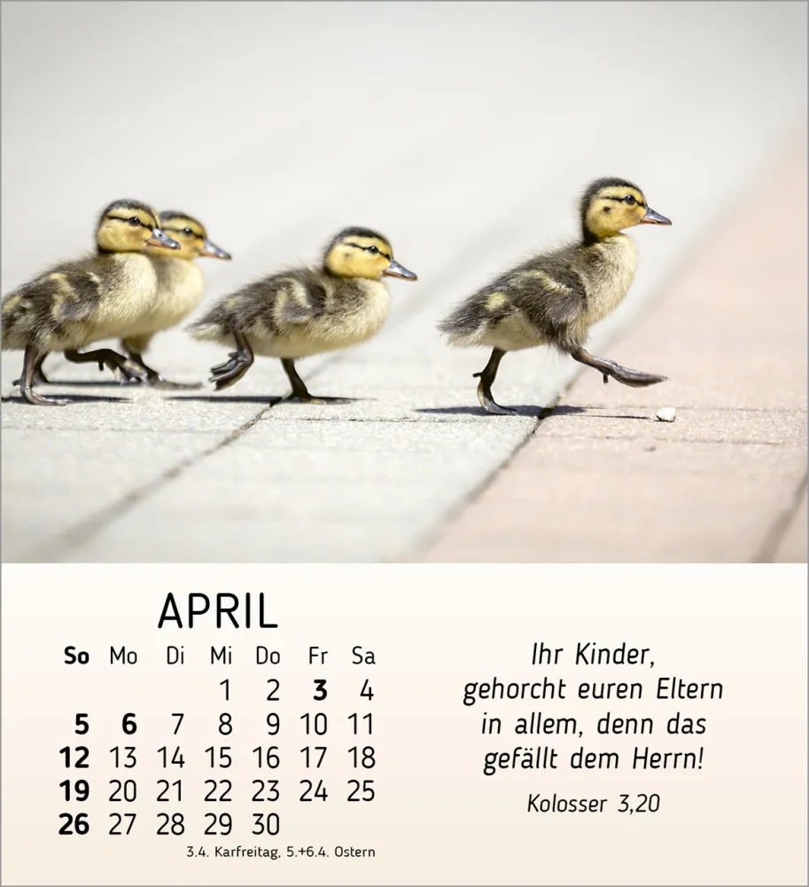 Meine kleinen Freunde - Tischkalender