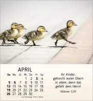 Meine kleinen Freunde - Tischkalender