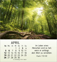 Schönheit des Lichts - Tischkalender