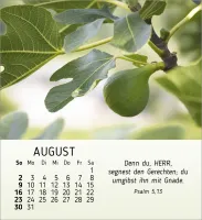 Stille Begegnungen - Tischkalender