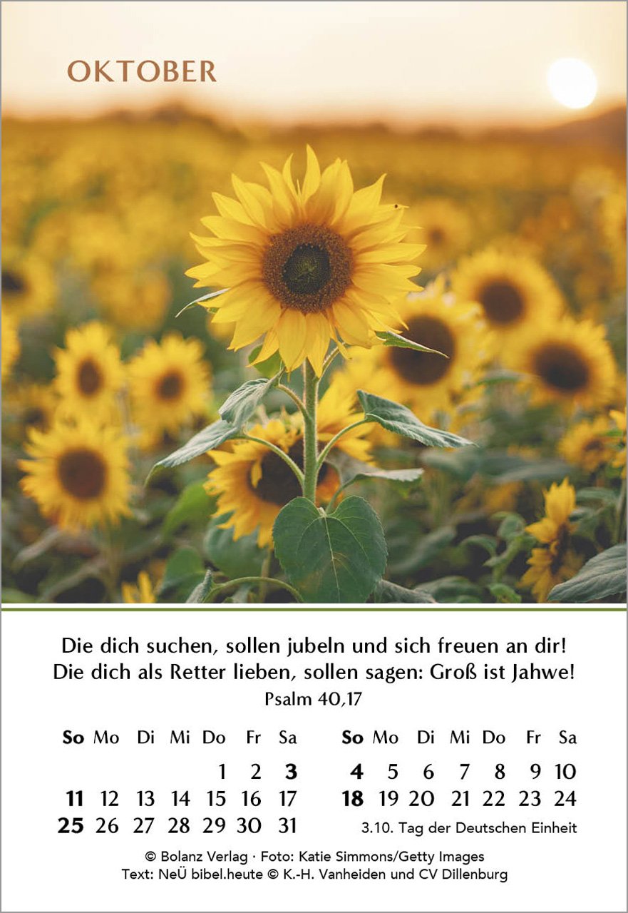 Ein Jahr der Freude - Mini-Aufstellkalender