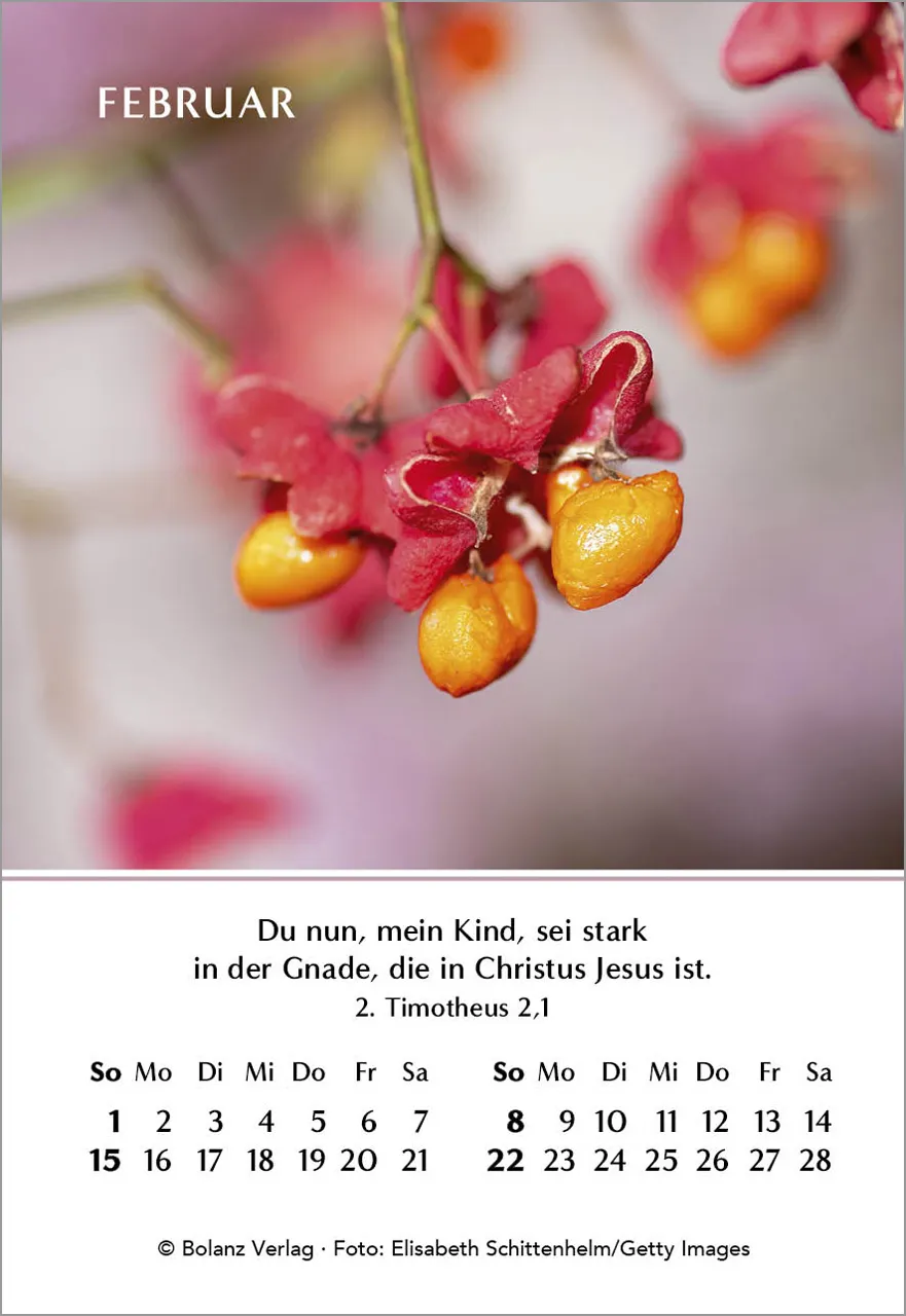 Ein Jahr der Freude - Mini-Aufstellkalender