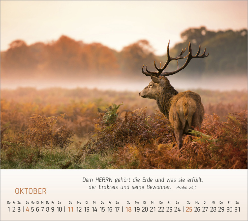 Foto Träume - Tischkalender