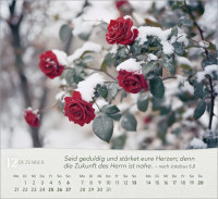 Rosen - Tischkalender