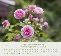 Rosen - Tischkalender