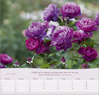 Rosen - Wandkalender