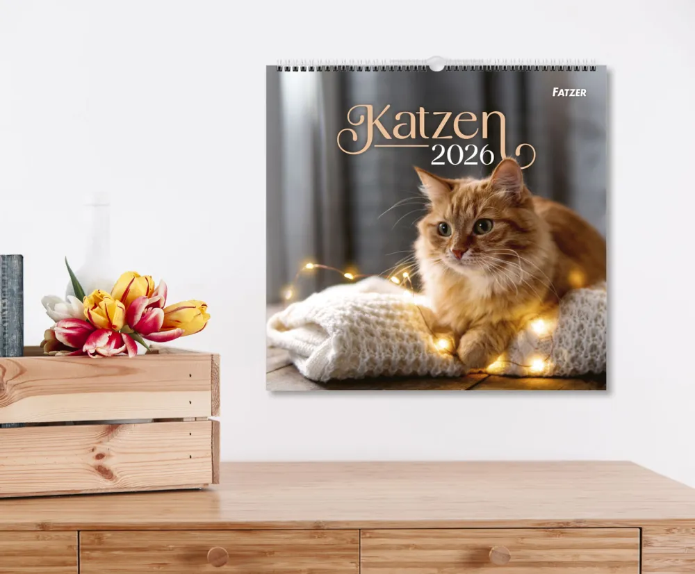 Katzen - Wandkalender